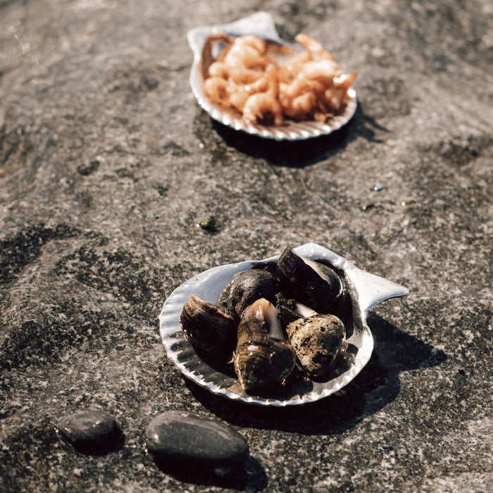 Amuse Bouche Shell  Plates