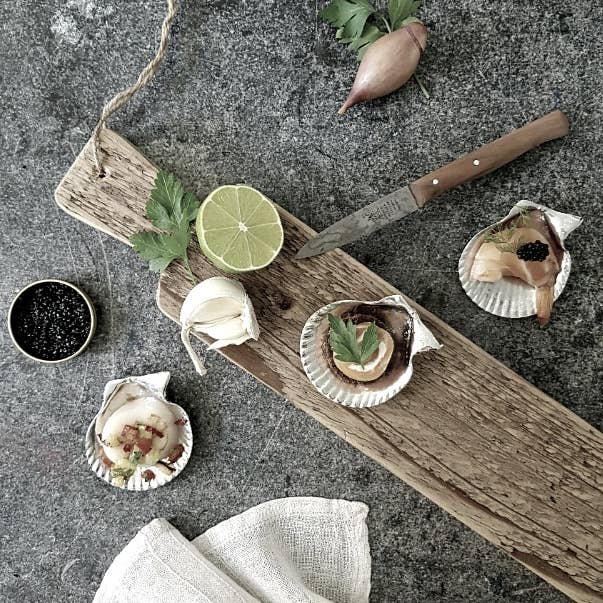 Amuse Bouche Shell  Plates