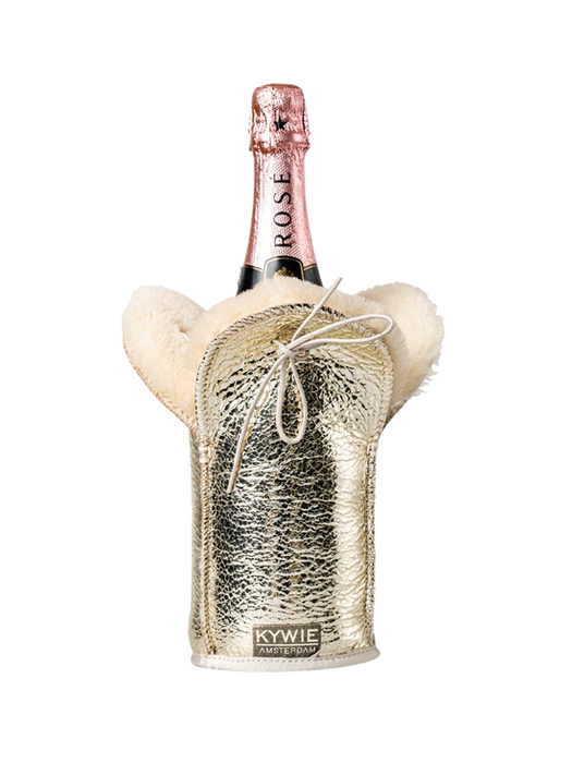 champagne bottle  holder sparkle silver